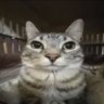 tJ_'s profile picture