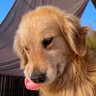 daitaiyou1's profile picture