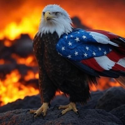 Andy froemel's profile picture