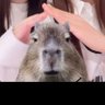 バス停留所 的头像