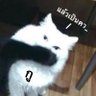 mynameisyou 的头像