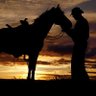 Writerfromthewest's profile picture