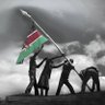 🇰🇪's profile picture