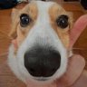 OneTwoThreeFourFiveFourteen's profile picture