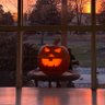 Mr. Pumpkin's profile picture