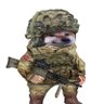 Ian Lee Retired IT Fella 🇺🇦🇺🇦🇺🇦's profile picture