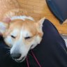 KATSUNORI profil fotoğrafı