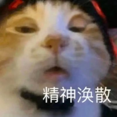 Neko's profile picture