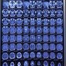 Фото профиля Dr. Michael McNaughton