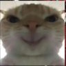 Profilbild von YA