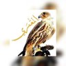 Ali3 Almamari 的头像