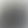 Ton 的头像