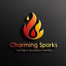 CharmingSparks👀 的头像