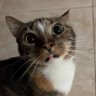 kayla 🎀💗 profil fotoğrafı