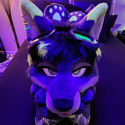 TactasticFoxboi's profile picture
