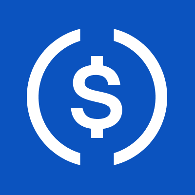USDC's profile picture