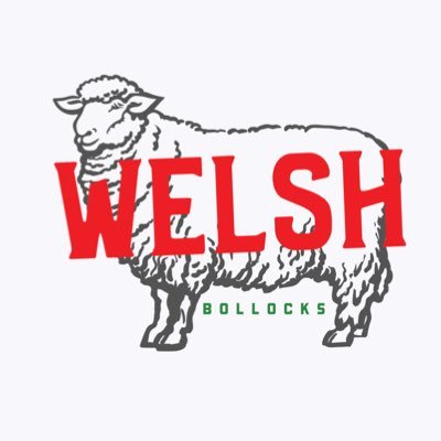Welsh Bollocks 🏴's profile picture