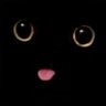 L's profile picture
