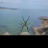 Heung lee...보낼수 있다!! profil fotoğrafı
