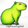 Фото профиля Capivara Capital