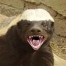 MrsGiggles's profile picture