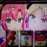 しばいぬけんた's profile picture