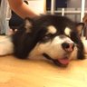 Jack profil fotoğrafı