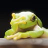 Poison D'Art profil fotoğrafı