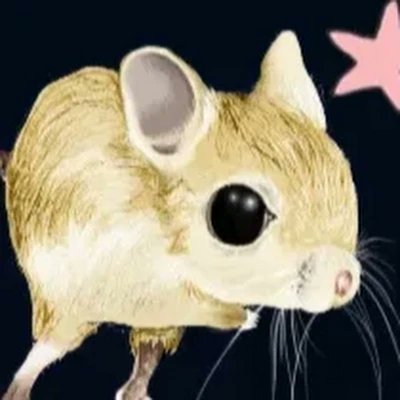 SmolMouseDesu's profile picture