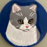Nekosuke's profile picture
