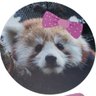 真柴いくみ's profile picture