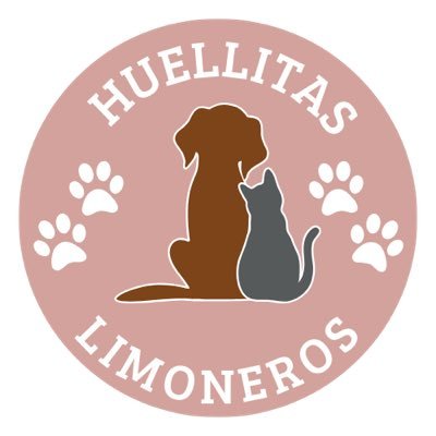 Huellitas Limoneros's profile picture