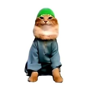 Ben Attha's profile picture