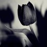 juragans ∞ profil fotoğrafı