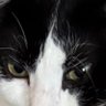 Profilbild von lushbudgett