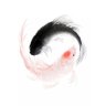 虚舟 profil fotoğrafı