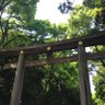 Фото профиля ゆう