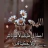 ابراهيم profil fotoğrafı
