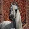 المها crypto 🇸🇦's profile picture