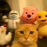 叮咚🐔大🐶叫出示见缸🐎's profile picture