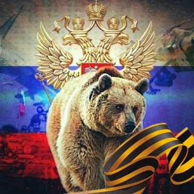 الموجز الروسي | Russia news 🇷🇺's profile picture