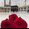 Nadia Ebrahim's profile picture