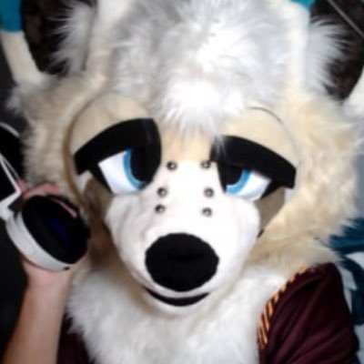 Toki's profile picture