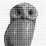 Owl profil fotoğrafı
