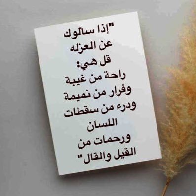 AssafYazeed's profile picture