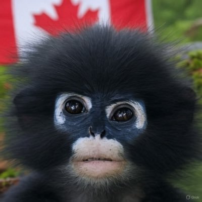 Mintpod611's profile picture