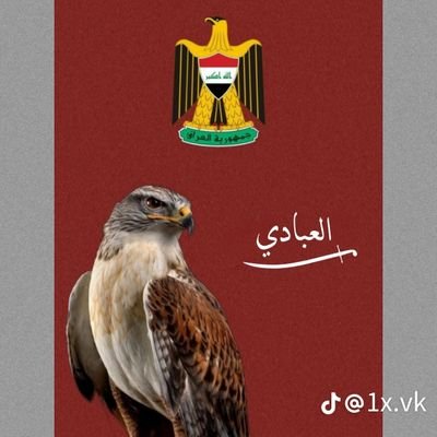 احمد's profile picture
