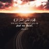 يوم تبلى السرائر's profile picture