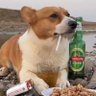 Profilbild von big chucher
