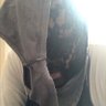 Фото профиля 🦮مهان و مخصي الحس لبنات